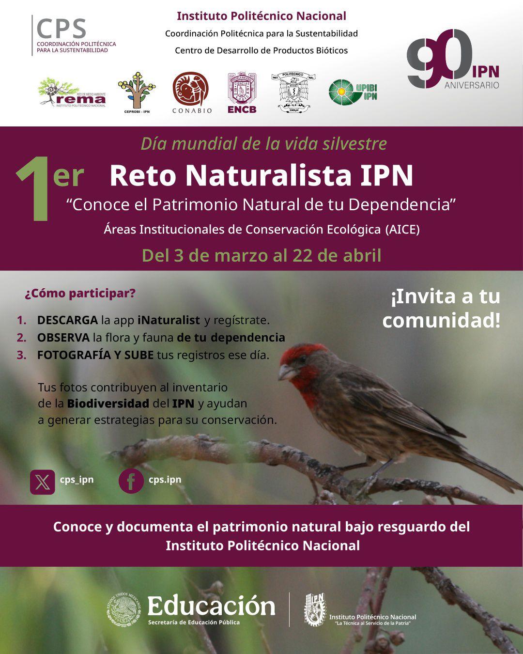 1er Reto Naturalista IPN 2026.jpeg