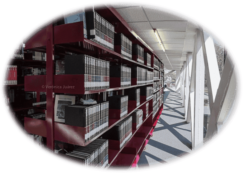 Biblioteca Nacional de Ciencia y Tecnología